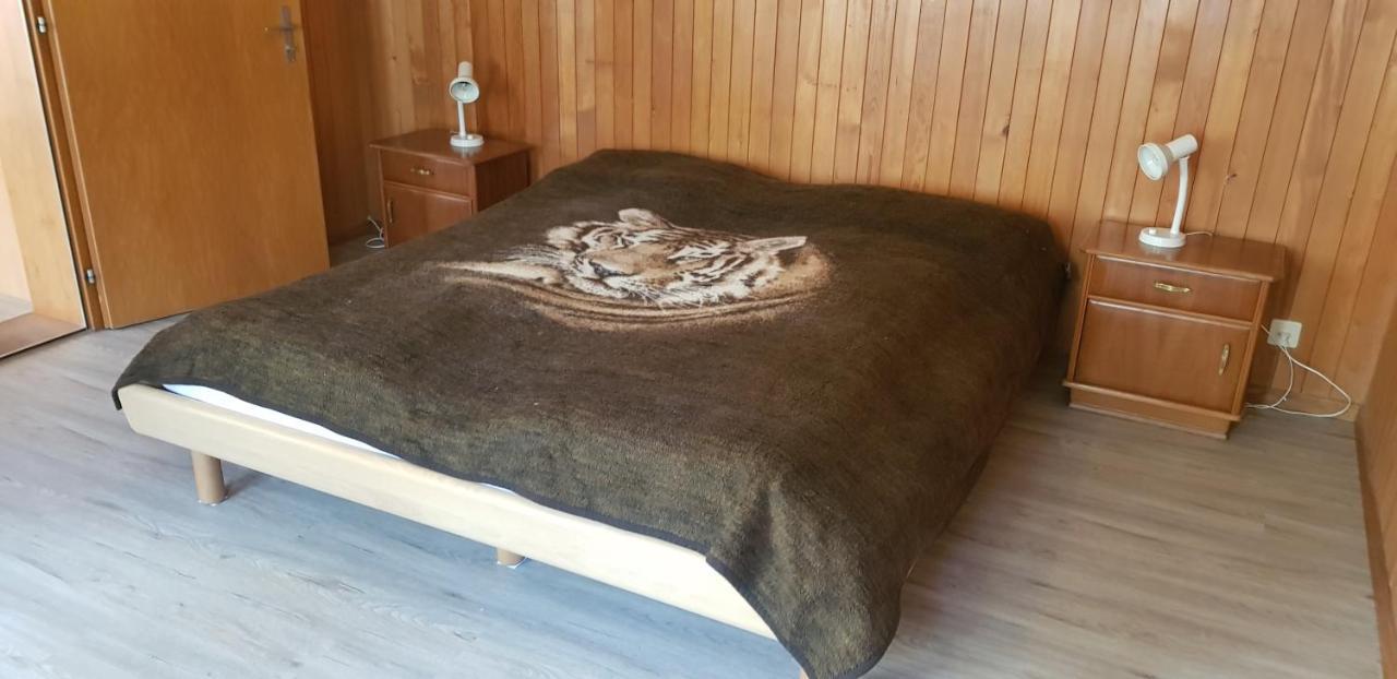 Chalet Spillstatt Grindelwald Eksteriør billede